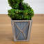 45 plantes