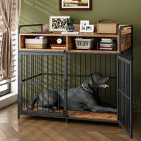 travel crate with dog