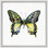 Butterfly Study 8' Framed Graphic Art Print on Glass