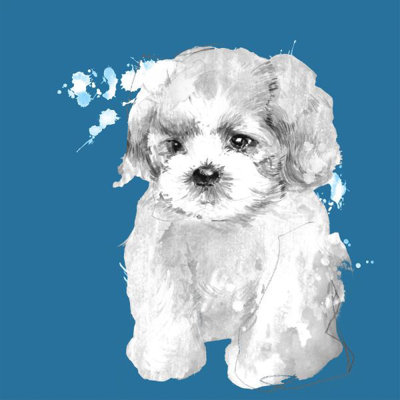Elle Youngstrom " Vivid Puppies VI " by Elle Youngstrom
