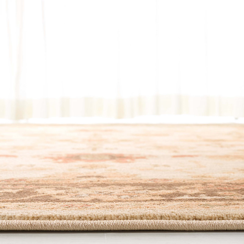Oriental Area Rug in Cream/Brown, Rectangle 3'6" x 5'6"