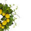 Couronne de printemps citrons et feuillages assortis jaune et vert 20 po
