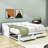 Eftimie Twin Size 2 Drawers Daybed with Trundle-1912511295