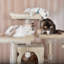 Lima Pet Heavy Duty Carpet 68 Inch Multi-Level Cat Tree Condos and Scratching Posts Included-331331326