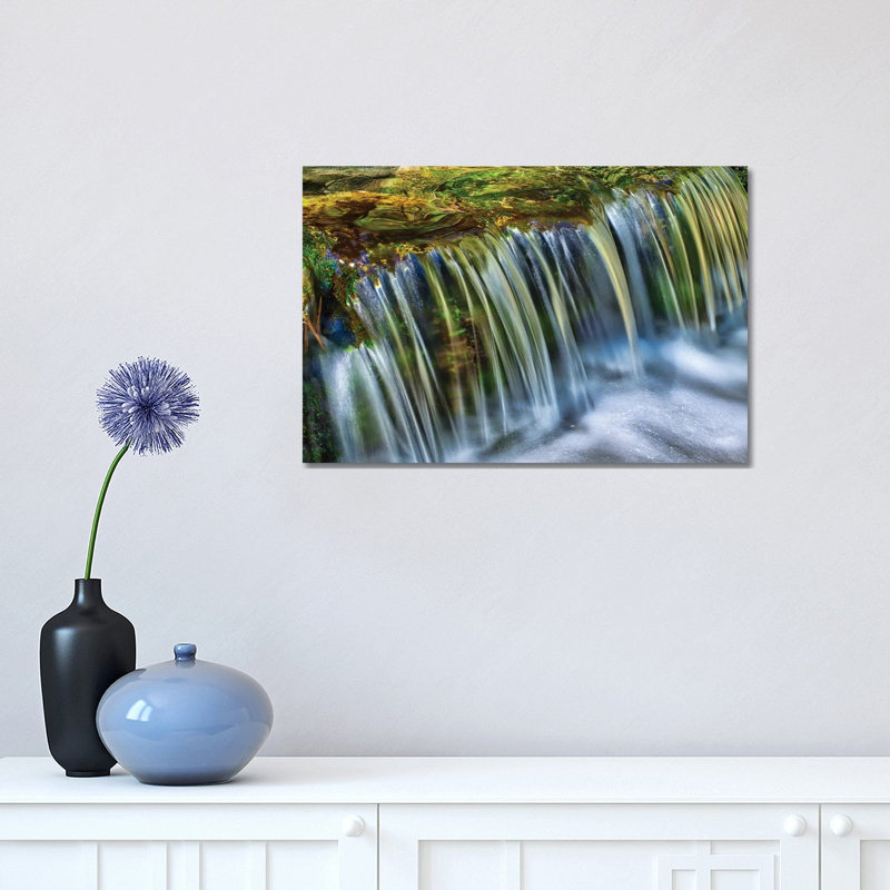 Fern Spring by Zoe Schumacher - Wrapped Canvas Print, 30.48 cm H x 45.72 cm W