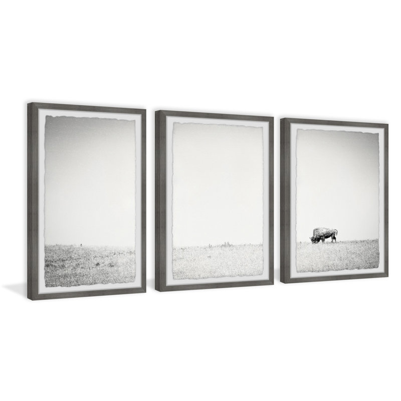 Euben A Lone Bison - 3 Piece Single Picture Frame Print, 45cm H x 114cm W x 3.81cm D