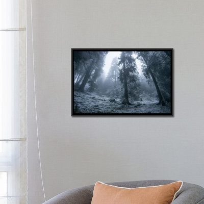 « the first snow », reproduction de photo sur toile