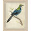 Blue Birds 1 Painting