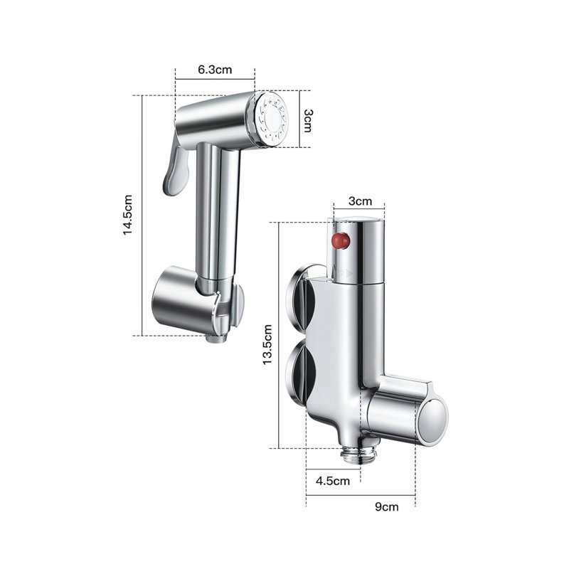 Thermostatic Bidet With Handheld Sprayer,Chrome,Silver