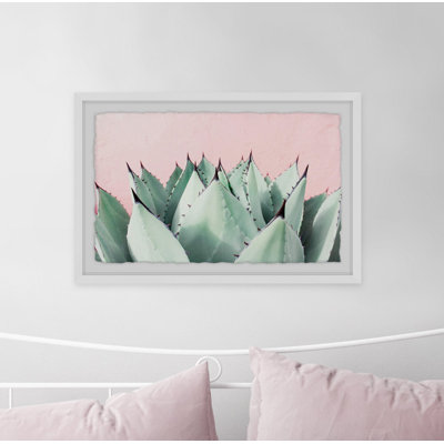 Sweet Succulents 1 Piece Single Picture Frame Wall Art