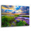 «Morning Glory Wildflowers And Purple Cloud Sunrise» par Ezra Tanner, art mural en verre acrylique-2001590765