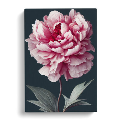 Pittsford Peony Flower Portrait - Wrapped Canvas Print