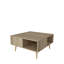 Aidtya Coffee Table with Storage-2048220935-2048220932