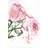 " Watercolor Pink Roses "-100458275