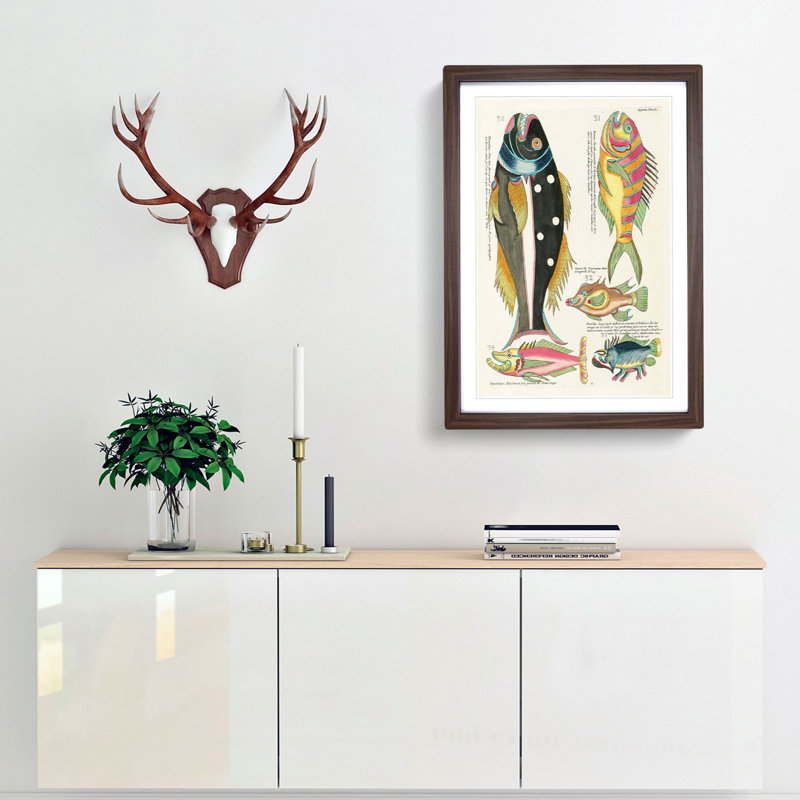 East Indies Fish Illustrations Septieme by Louis Renard - Picture Frame Graphic Art Print, Walnut Framed