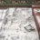 Myndi Machine Woven Abstract Cream/Gray Area Rug