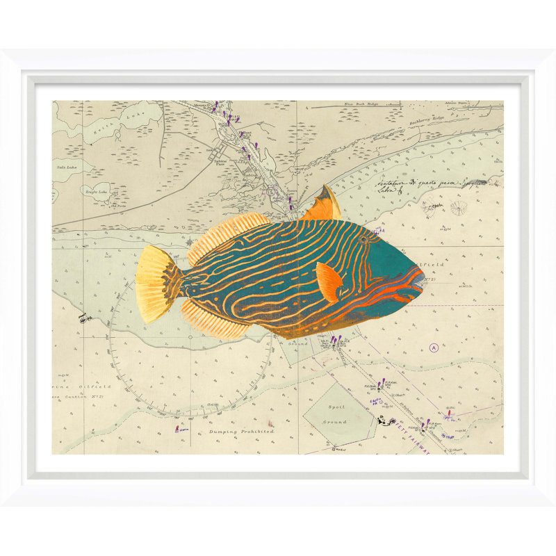 Vibrant Fish 1 Giclee Print by Soicher Marin Archives
