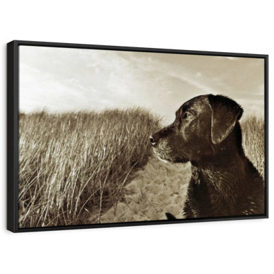 Black Lab At The Beach Canvas Print