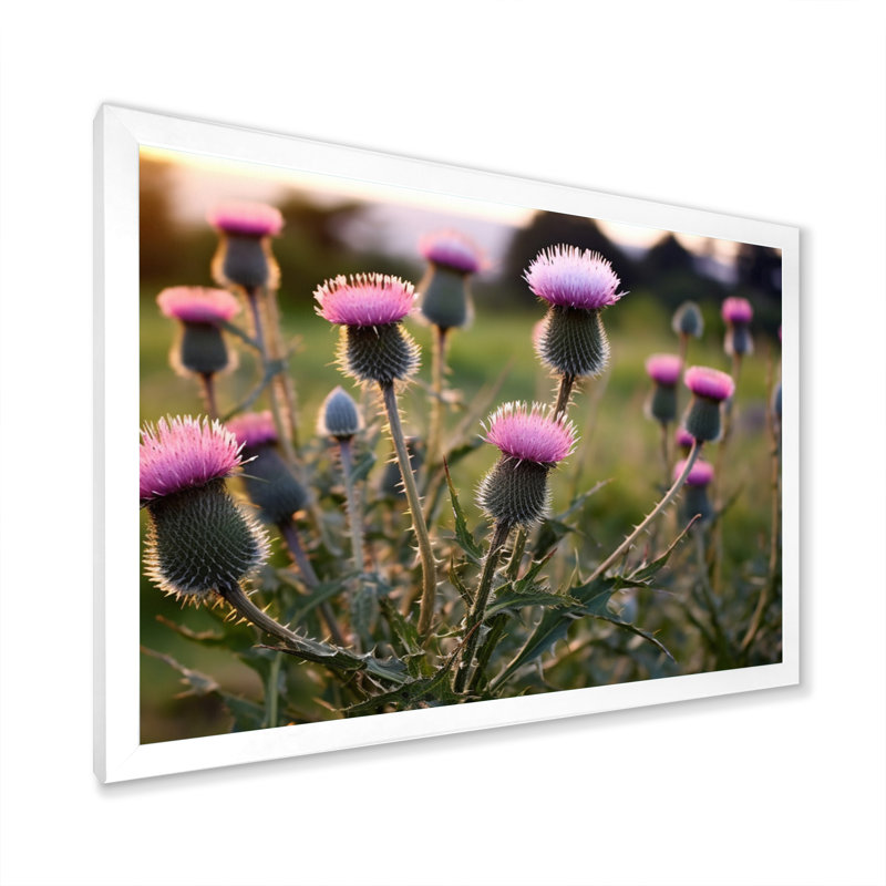 «Purple Green Thistle Whispers Plant I», reproduction sur toile, H 24 po x l 32 po x P 1 po, Cadre photo blanc