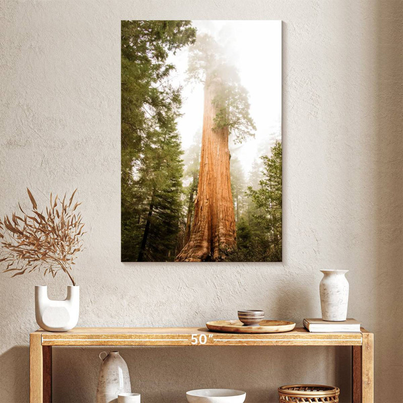 Sequoia Redwood Tree, 39" H x 26" W