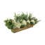 Holiday Arrangement with Wintry Greens and Hydrangeas