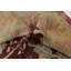 Tapis de zone en laine beige/bleu 10 pi 10 po x 13 pi 5 po one-of-kind-noué la main Mehdi