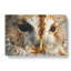 Tawny Owl Vol.2 Painting - Wrapped Canvas-64023456