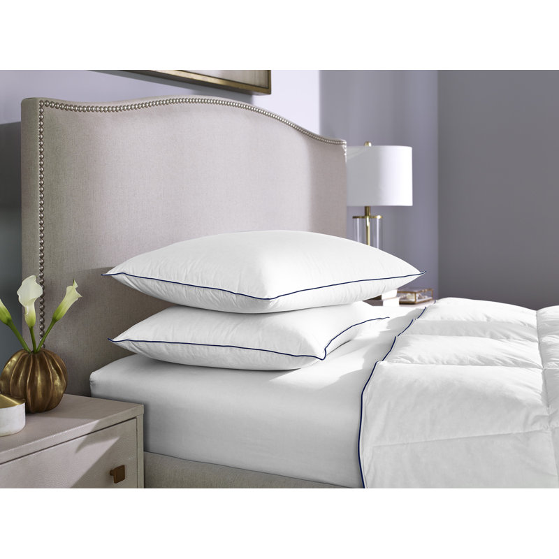 Oreiller de soutien Oklahoma Loft - 100% coton, housse en duvet et plumes de coton, Très grand