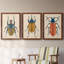 Beetle Bug I - ensemble de 3 peintures sur toile encadrées-1777886072-1777886077