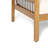 Alderamin Acacia 2 - Person Patio Conversation Set with Cushions
