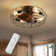 Alexondra Caged Ceiling Fans with Lights and Remote