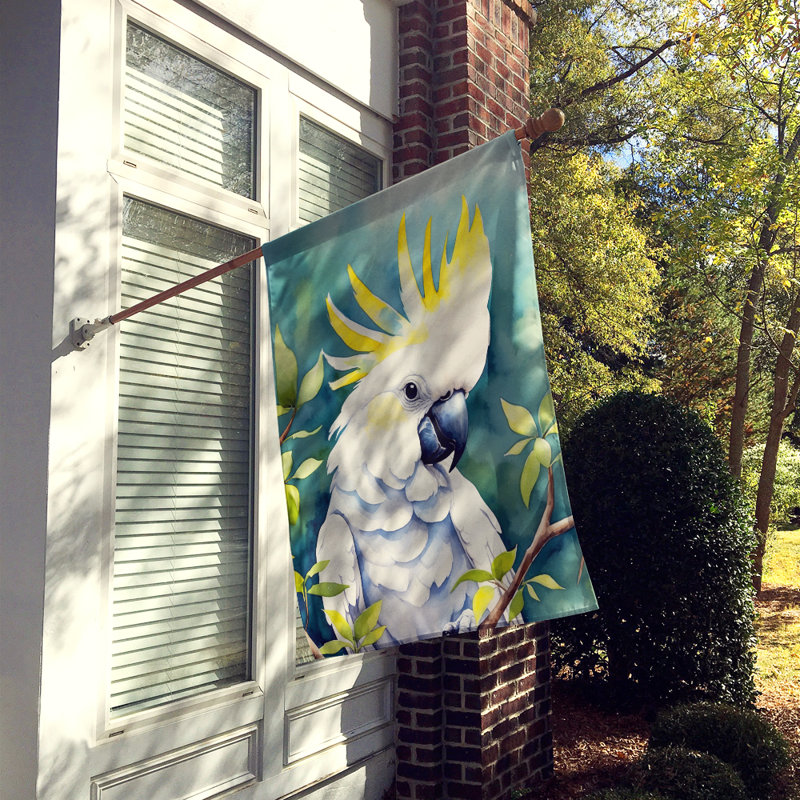House Flag, Sulphurcrested Cockatoo