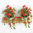 Rouge Bougainvillée