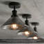 Langleyville Flush Mount-1480438947