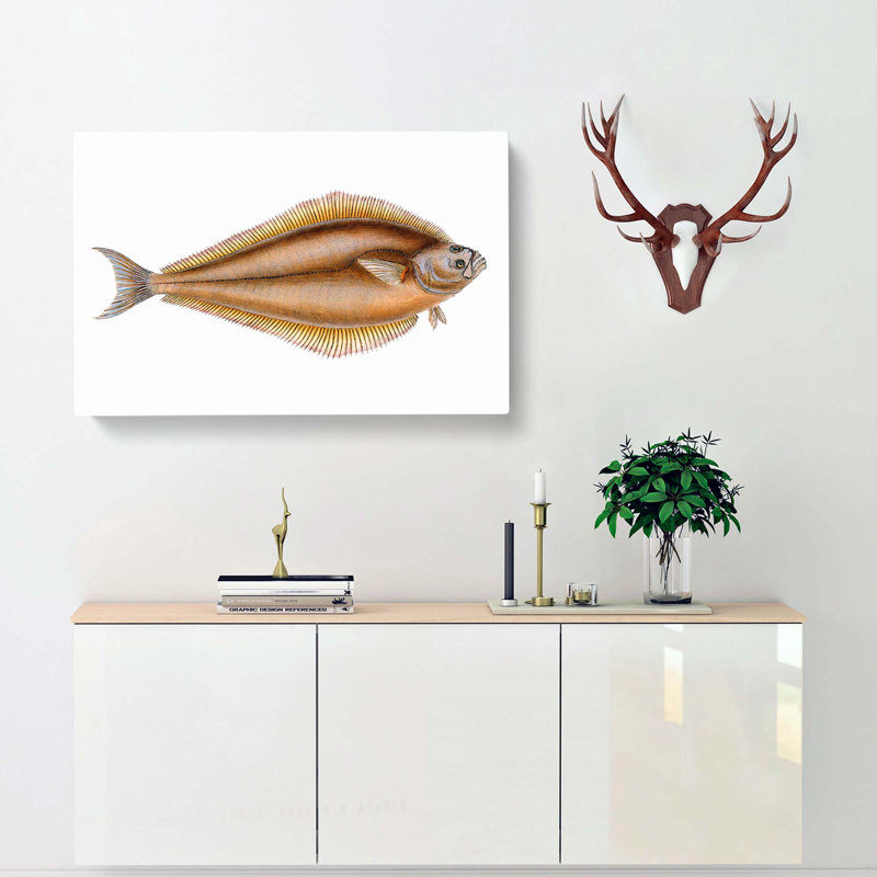 Atlantic Halibut Fish by Edward Donovan - Wrapped Canvas Painting, 35cm H x 50cm W x 3cm D
