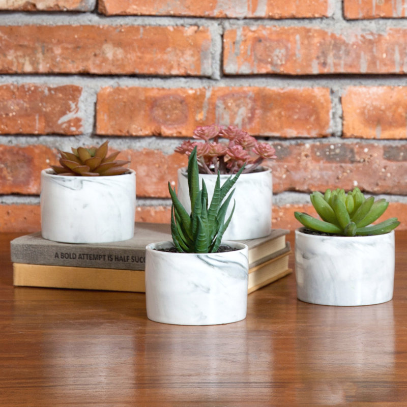 Ensemble de 4 plantes succulentes artificielles dans un pot à fleurs