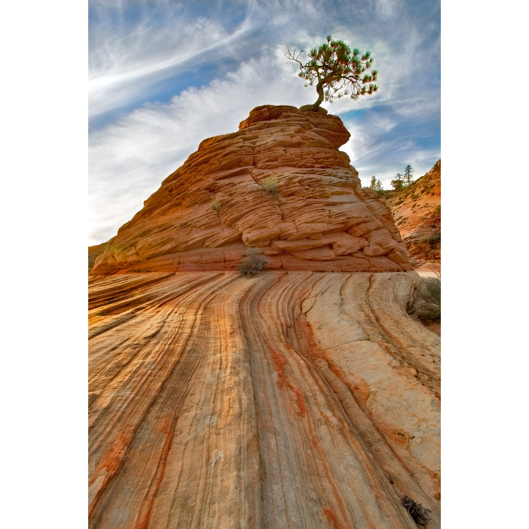 Rock And Tree von Kavram - Leinwandbild auf Leinwand