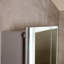 Luppo 800mm W 700mm H Surface Frameless Medicine Cabinet Mirror 2 Fixed