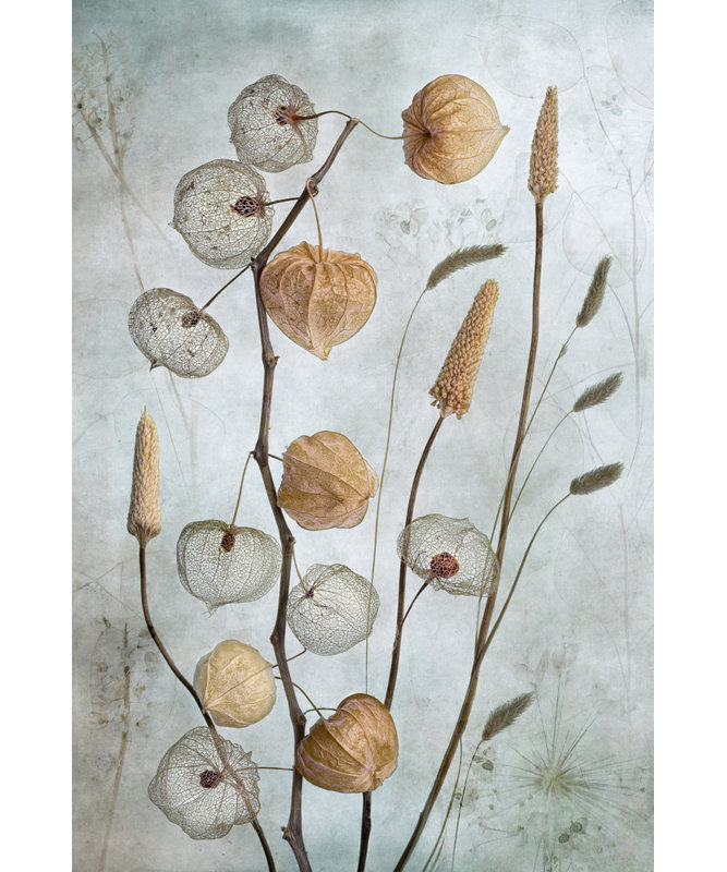 Wrapped Canvas Print, 121.92 cm H x 81.28 cm W
