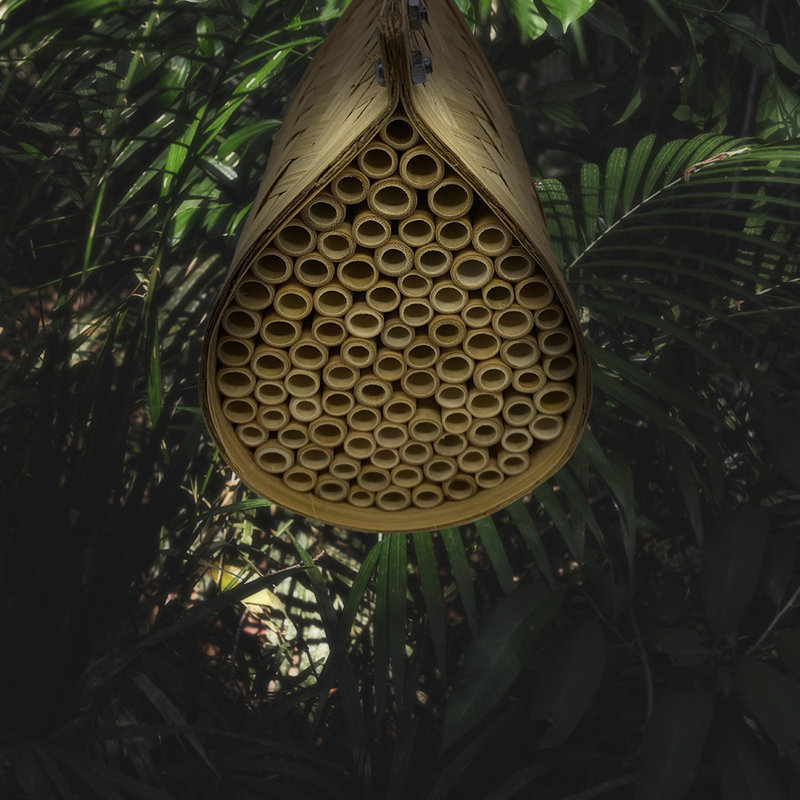 Lacine Hanging Insect House