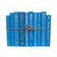 Livres décoratifs - Ensemble de livres Sky - 1 pied de livres bleus