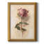 Painterly Rose Study I, toile encadrée de qualité supérieure - prête à être accrochée-2055583244