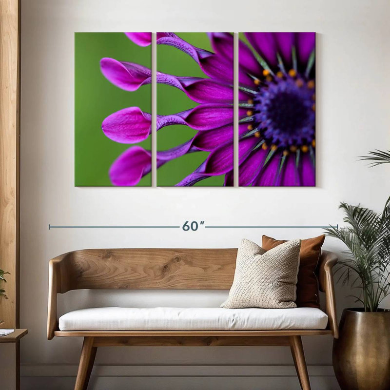 Harnek Exotic Purple African Daisy, 32" H x 50" W