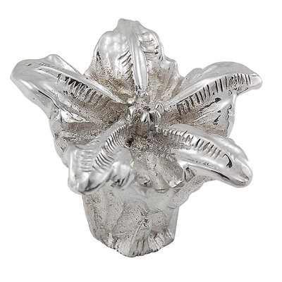 Carlotta Novelty Knob