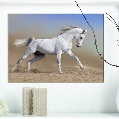 «White Horse Stallion Run Gallop in Dust», reproduction de photo sur toile tendue