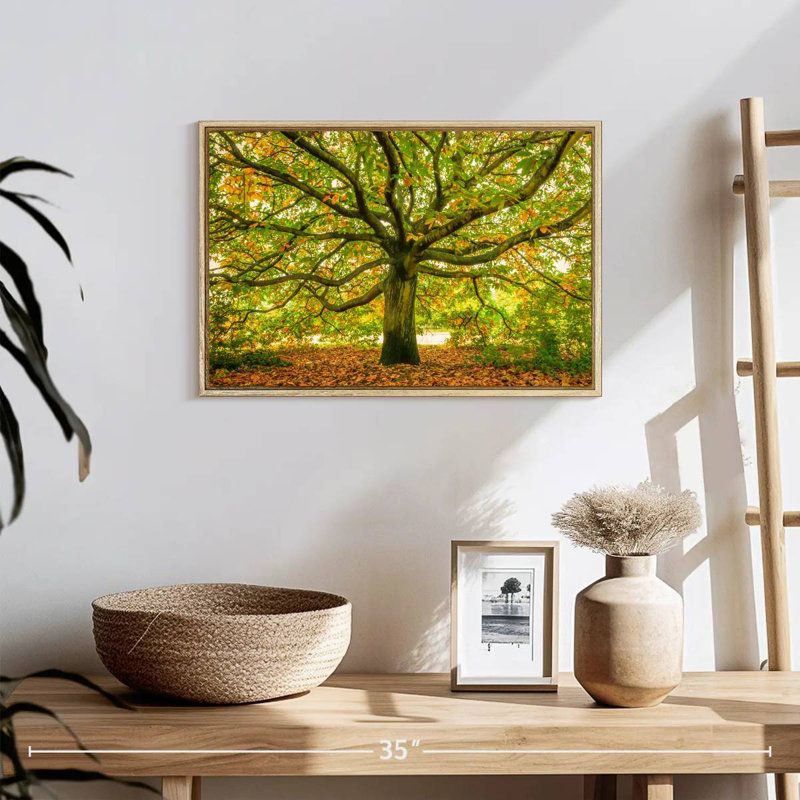 Chêne de Londres, Cadre flottant en bois naturel, 19 po x 13 po