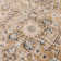 Briawood Oriental Indoor Rug