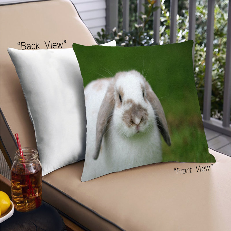 Throw Pillow, Synthetic