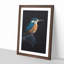 Kingfisher Bird - Picture Frame Painting Print-56924995-56924997
