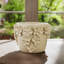 Sagebrook Home 7" Floral Applique Planter, White-358384828-358384829